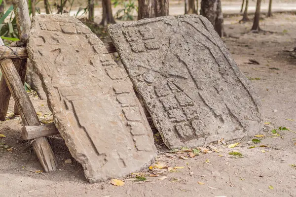 Coba Mexico Kota Kuno Maya Meksiko Coba Adalah Daerah Arkeologi Stok Foto Bebas Royalti