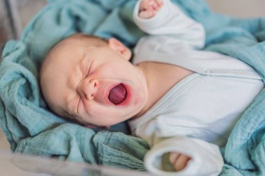 Yeni doğmuş bir bebek hastanedeki şeffaf beşiğinde huzur içinde yatıyor. Temiz beşik, tıbbi personele güvenli ve rahat bir şekilde bebeğin sağlığını gözetlemeleri için görüş sağlar.