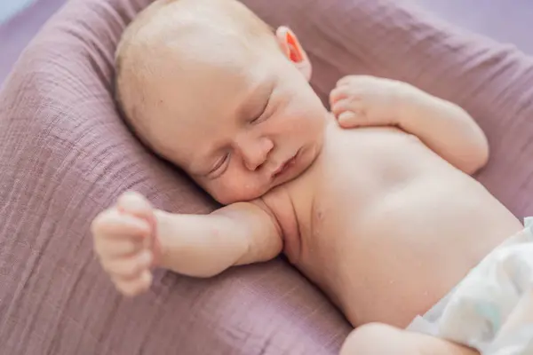 stock image The baby is sleeping peacefully in his cozy nest. Newborn photo session captures the serene innocence and warmth of early moments.