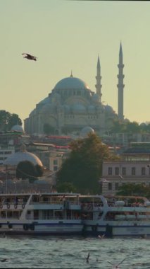 Istanbuls 'un tarihi kalbini gezip görkemli camileri, işlek feribot iskelelerini ve ufuk çizgisindeki martıların dansını yakalayacağız. Dikey video