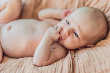 The baby is sleeping peacefully in his cozy nest. Newborn photo session captures the serene innocence and warmth of early moments. clipart