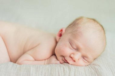 The baby is sleeping peacefully in his cozy nest. Newborn photo session captures the serene innocence and warmth of early moments. clipart