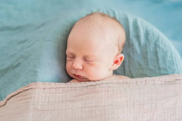 stock image The baby is sleeping peacefully in his cozy nest. Newborn photo session captures the serene innocence and warmth of early moments.