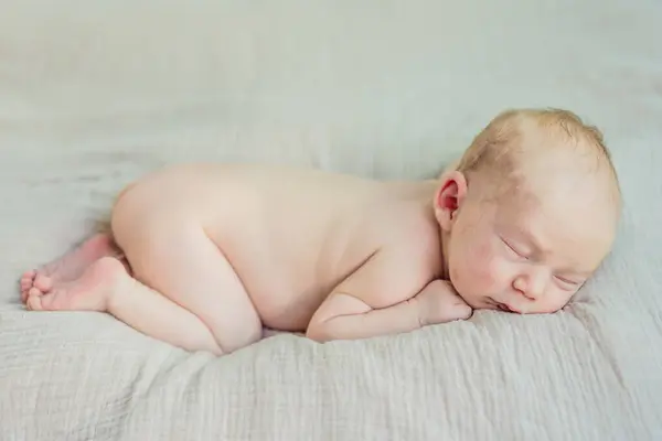 stock image The baby is sleeping peacefully in his cozy nest. Newborn photo session captures the serene innocence and warmth of early moments.