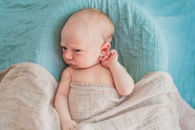 The baby is sleeping peacefully in his cozy nest. Newborn photo session captures the serene innocence and warmth of early moments. clipart