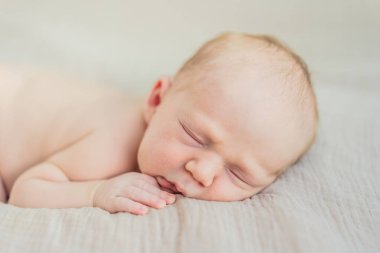 Bebek rahat yuvasında huzur içinde uyuyor. Yeni doğan fotoğraf çekimi, ilk zamanların dingin masumiyetini ve sıcaklığını yakalar..