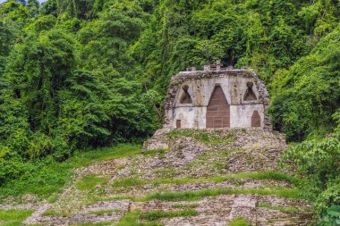 Meksika 'daki Palenque antik piramitleri, yemyeşil ormanlarla çevrili. İkonik arkeolojik sitede Maya kültürü ve tarihi sergileniyor. Seyahat, tarih ve macera konsepti.