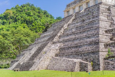 Meksika 'daki Palenque antik piramitleri, yemyeşil ormanlarla çevrili. İkonik arkeolojik sitede Maya kültürü ve tarihi sergileniyor. Seyahat, tarih ve macera konsepti.