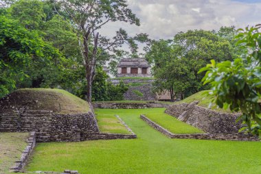 Meksika 'daki Palenque antik piramitleri, yemyeşil ormanlarla çevrili. İkonik arkeolojik sitede Maya kültürü ve tarihi sergileniyor. Seyahat, tarih ve macera konsepti.