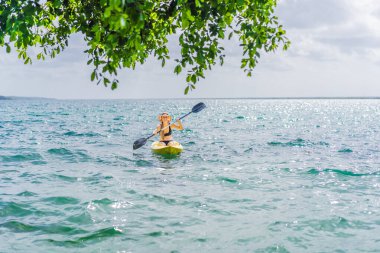 Meksika 'da Bacalar Gölü' nde kayak yapan bir kadın. Quintana Roo 'da macera turizmi, açık hava keşfi ve su aktiviteleri konsepti.