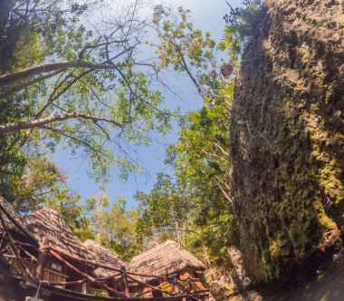 Scenic cenote in Xcaret park surrounded by lush jungle. Natural beauty, eco-tourism, and adventure travel concept in Quintana Roo, Mexico. clipart