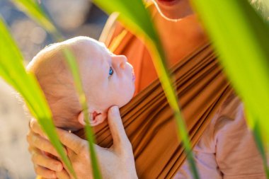 Sevgi dolu bir anne, bebeğini güvenli bir şekilde askıda taşıyarak huzurlu bir parkta yürür. Annelik bağının, bebek giyiminin ve anneliğin doğadaki neşesinin yürek ısıtan bir anı..