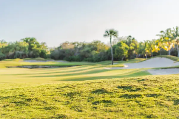 Palmiye ağaçlı bir golf sahası. Bereketli yeşil çimenler, mavi gökyüzü ve sakin atmosferi olan tropik bir manzara. Lüks eğlence, açık hava eğlencesi ve tatil konsepti..