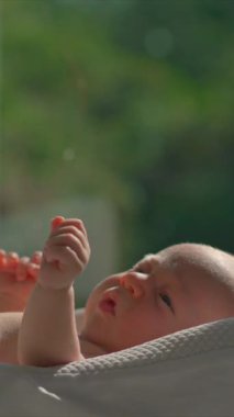 Yeni doğmuş bir bebek, güneş ışığının açık olduğu bir pencerenin yakınındaki bebek kozasında dinlenir ve sağlıklı dozda D vitamini için doğal güneş ışığını emer. Yeni doğanlar için güneşlenmenin önemini vurgulayan huzurlu bir an.