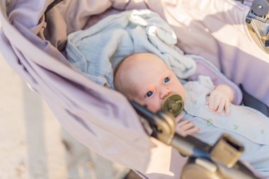 Anne bebeğiyle parkta bir bebek arabasında yürüyor. Barışçıl açık hava kaynaşma zamanı. Ebeveynlik, bebek bakımı ve aile yaşam tarzı konsepti.