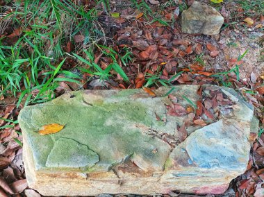 İlginç bir şekli olan büyük bir taş.