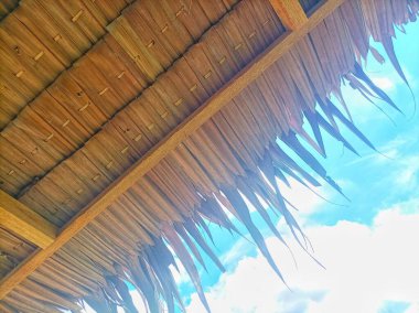 Sade bir kulübede sago yaprağı çatısı