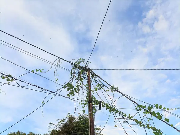 stock image Attractive electric pole on a sunny morning