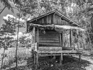 Siyah beyaz arka planda eski püskü bir kulübe.