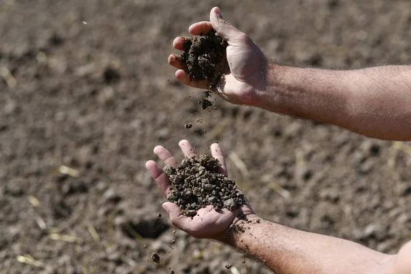 Farmer holding a fertile soil in hands. Agriculture, agribusiness. Gardener holds fertilized soil. Agriculture concept. Gardening season. Soil field