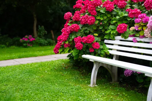 stock image Calm place. Rest and relax. Meditation. Peace and relax. Wooden bench in park. Peaceful and quiet place. Loneliness. Bench in flower garden.