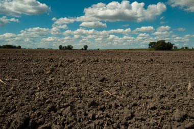 Tarım konsepti. Bahçe sezonu konsepti. Bereketli toprağın dokusu. Bahçe işleri için toprak. Çamur sahada. Bitki yetiştirmek için toprak. Toprak dokusu arkaplanı