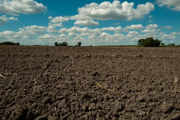 Tarım konsepti. Bahçe sezonu konsepti. Bereketli toprağın dokusu. Bahçe işleri için toprak. Çamur sahada. Bitki yetiştirmek için toprak. Toprak dokusu arkaplanı