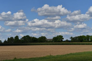 Bitki yetiştirmek için gübre toprağı. Bitkilerin büyümesini hızlandırır. Bitki arka planı için arazi. Tarım için temiz toprak. Bahçe işleri için toprak ya da turba. Arkaplan olarak desenli toprak yüzeyi