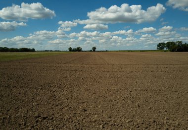 Bahçe işleri için toprak dokusu arka planı. Organik bahçıvanlık. Tarım konsepti. Çamur sahada. Bitki yetiştirmek için toprak. Tarım için temiz toprak. Bahçe işleri için toprak.