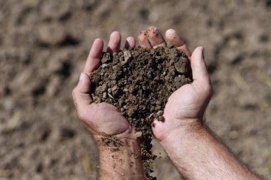 Tarım konsepti. Bahçıvanlık sezonu. Bahçıvanlar verimli toprakları ellerinde tutarlar. Bahçeyle uğraşmak için toprağı olan bir çiftçi. Çamur sahada. Bitki yetiştirmek için toprak. Toprak dokusu arkaplanı