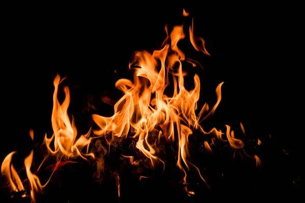 Alevlerin arka planı. Yangın arka planı yanıyor. Ateş alevi. Yangın arka planı. Ateş dokusu. Alevli