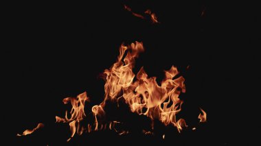 Yangın arka planı. Şenlik ateşi. Siyah arka planda ateş dokusu. Soyut yangın arka planı. Büyük yanan ateş