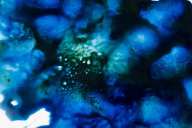 Renk sıçrama arkaplanı. Soyut boya. Yaratıcı sanat geçmişi. Soyut arkaplan. Renkli akrilik boya. Dönen mürekkep. Renk boyası arkaplanı