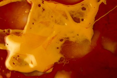 Renk sıçraması. Sanat soyut arka plan. Akrilik boya. Soyut arkaplan. Lüks renkli akrilik boya. Dönen mürekkep. Renkli arka plan. Renk arkaplanı