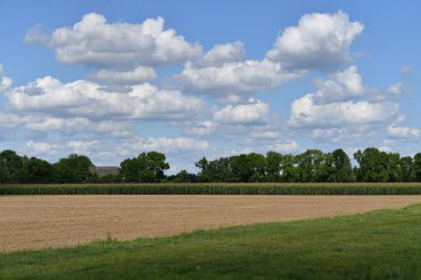 Bitki yetiştirmek için gübre toprağı. Bitkilerin büyümesini hızlandırır. Bitki arka planı için arazi. Tarım için temiz toprak. Bahçe işleri için toprak ya da turba. Arkaplan olarak desenli toprak yüzeyi