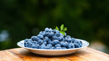 Kahvaltı için taze yaban mersini. Vejetaryen ve vejetaryen kavramı. Yaban mersini. Sağlıklı yiyecekler. Böğürtlen arka planı. Olgun, sulu böğürtlenleri yakından çek. Taze meyve.