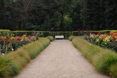 Cennete giden yol. Sakin sakin bir yer. Dinlen ve rahatla. Meditasyon yeri. Huzur ve rahatlama. Parktaki ahşap bank. Huzurlu ve sessiz bir yer. Yalnızlık. Çiçek bahçesindeki bankta. Gül bahçesi