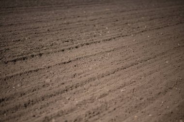 Bahçe işleri için toprak dokusu arka planı. Arka plan olarak toprak. Organik bahçıvanlık. Toprak alan arka planı. Arkaplan ekimi için toprak