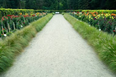 Sakin sakin bir yer. Dinlen ve rahatla. Cennete giden yol. Meditasyon yeri. Huzur ve rahatlama. Parktaki ahşap bank. Huzurlu ve sessiz bir yer. Yalnızlık. Çiçek bahçesindeki bankta. Gül bahçesi