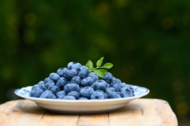 Çevre yemeği. Kahvaltı için taze yaban mersini. Vejetaryen ve vejetaryen kavramı. Yaban mersini. Sağlıklı yiyecekler. Böğürtlen arka planı. Olgun, sulu böğürtlenleri yakından çek. Taze meyve.