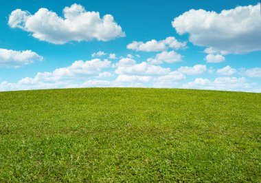 Yeşil alan ve mavi gökyüzü. Yeşil çimen arka planı. Çimen tepeleri. Çimenli çayır. Grassy Hills arka planı. Yeşil çimenli tarla. Doğa manzarası. Geniş yeşil çimen alanı