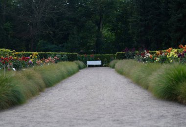 Meditasyon. Yapayalnız, boş ahşap bir bank. Huzurlu ve sessiz bir yer. Yalnızlık. Sakin bir yer. Dinlen ve rahatla. Bahçede huzurlu bir yer