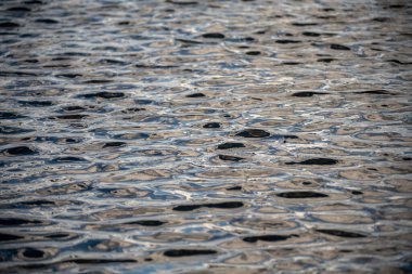 Derin karanlık deniz dokusu arka planı. Aqua deniz suyu yüzeyinin arka planı. Mavi deniz yüzeyi. Su yüzeyi. Mavi okyanus suyu dokusu. Denizin yüzeyi