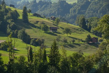 Dağ vadisi. İsviçre 'deki dağ ormanlarının manzarası. İsviçre manzarası. Dağlar. İsviçre Alpleri 'ndeki dağ ormanı. İsviçre Alpleri. Doğa