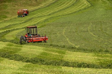 Çim biçme aleti. Çim biçme. Arka plan kesiliyor. Çim biçme makinesi. Tarlada çim biçmek. Çim biçme makinesi. Çim biçiyorum. Önce ve sonra. Bahçe ekipmanı