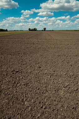 Bahçe işleri için toprak dokusu arka planı. Organik bahçıvanlık. Tarım konsepti. Çamur sahada. Bitki yetiştirmek için toprak. Tarım için temiz toprak. Bahçe işleri için toprak.