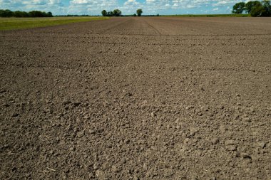 Bahçe işleri için toprak dokusu arka planı. Organik bahçıvanlık. Tarım konsepti. Çamur sahada. Bitki yetiştirmek için toprak. Tarım için temiz toprak. Bahçe işleri için toprak.