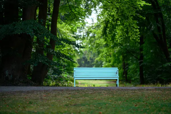 Sakin bir yer. Sükunet. Dinlen ve rahatla. Meditasyon. Huzur ve rahatlama. Parktaki ahşap bank. Huzurlu ve sessiz bir yer. Yalnızlık. Çiçek bahçesindeki bankta.