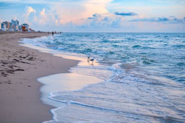 Okyanus dalgaları arka plana sıçrar. Manzaralı deniz manzarası. Doğa için deniz manzarası. Kumsalda dalgalar