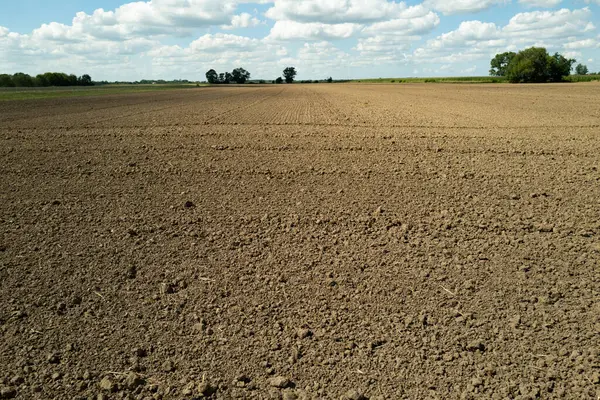Bitki yetiştirmek için gübre toprağı. Çamur sahada. Tarım endüstrisi. Bitki yetiştirmek için toprak. Bahçıvanlık sezonu. Tarım için temiz toprak. Bahçe işleri için toprak.